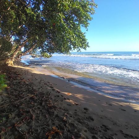Escape Caribeno Hotell Puerto Viejo de Talamanca Eksteriør bilde