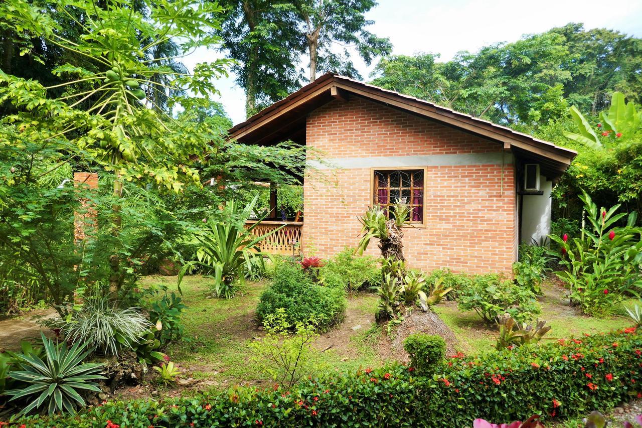 Escape Caribeno Hotell Puerto Viejo de Talamanca Eksteriør bilde