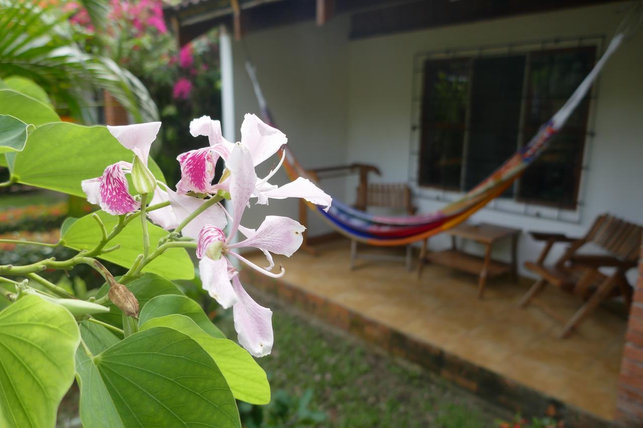 Escape Caribeno Hotell Puerto Viejo de Talamanca Eksteriør bilde
