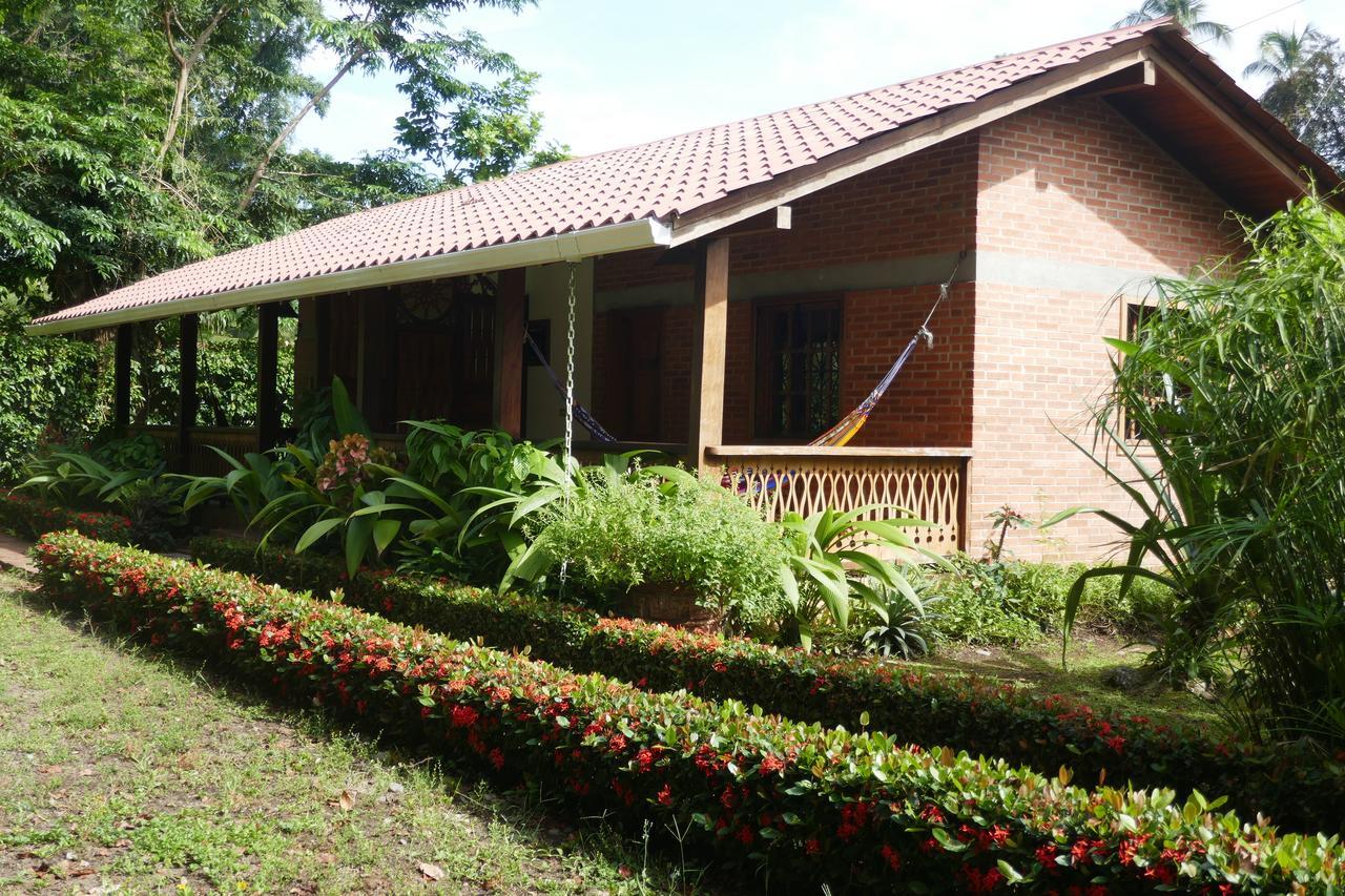 Escape Caribeno Hotell Puerto Viejo de Talamanca Eksteriør bilde