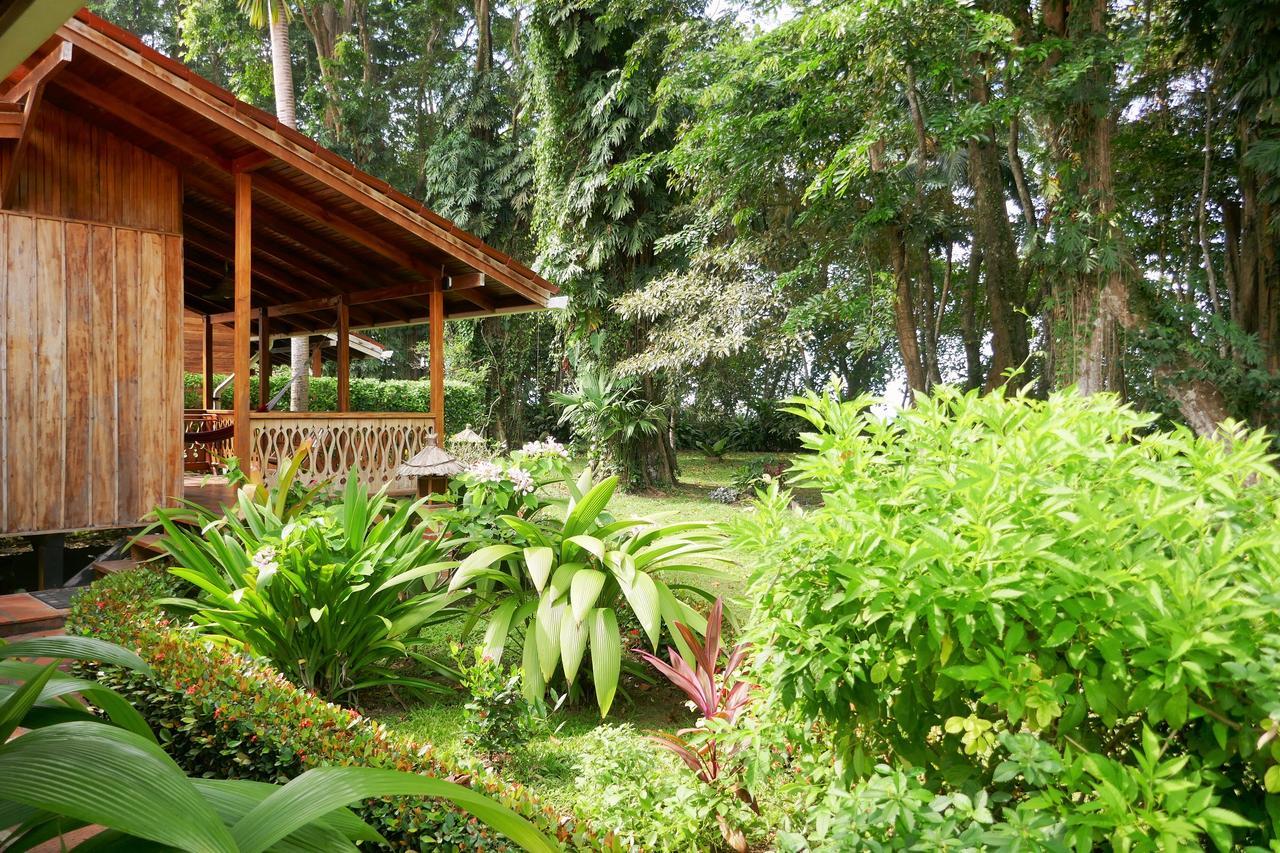 Escape Caribeno Hotell Puerto Viejo de Talamanca Eksteriør bilde