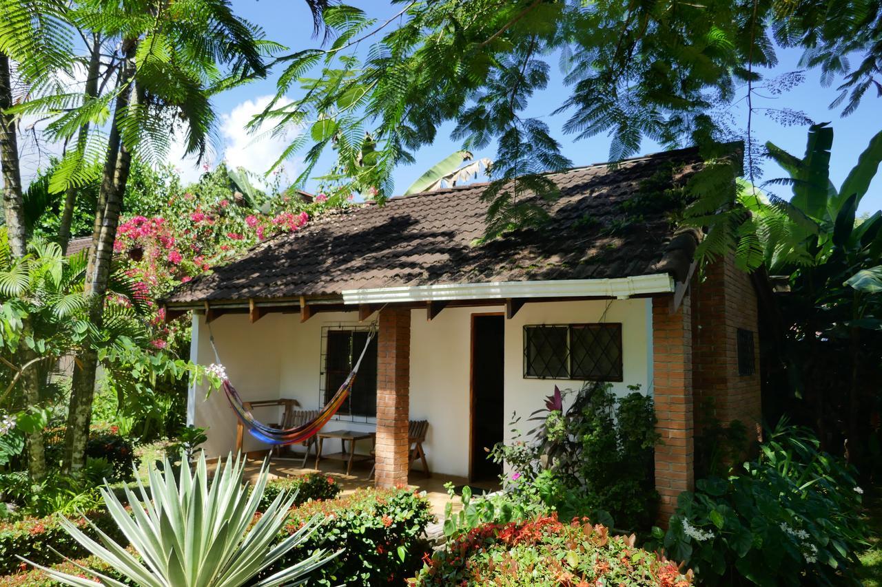 Escape Caribeno Hotell Puerto Viejo de Talamanca Eksteriør bilde