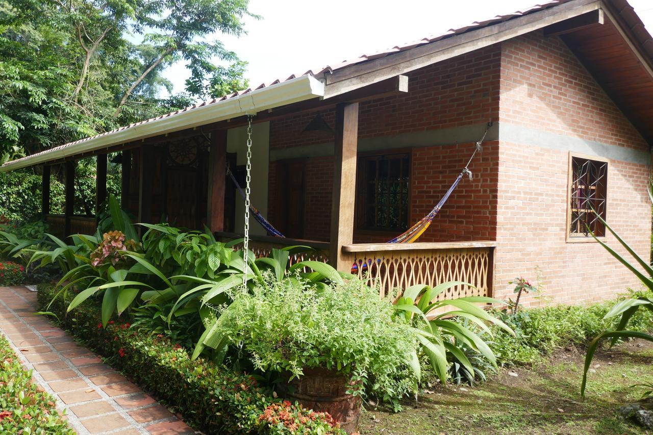 Escape Caribeno Hotell Puerto Viejo de Talamanca Eksteriør bilde