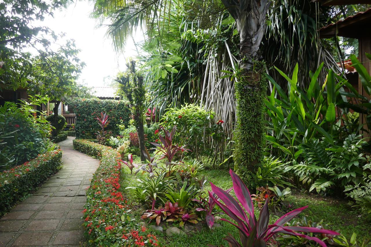 Escape Caribeno Hotell Puerto Viejo de Talamanca Eksteriør bilde