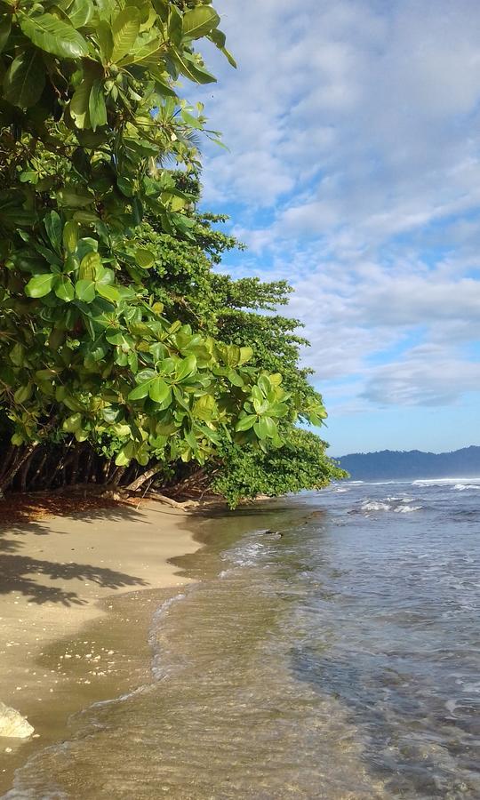 Escape Caribeno Hotell Puerto Viejo de Talamanca Eksteriør bilde