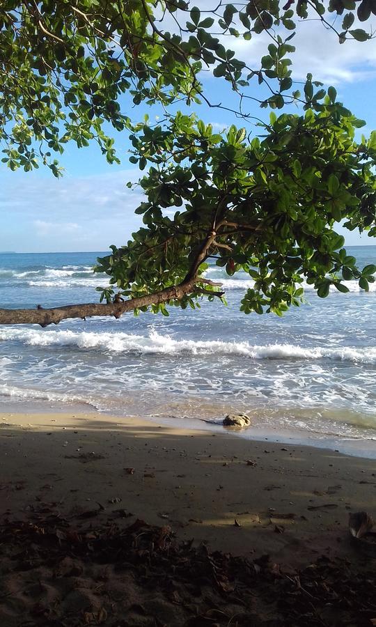 Escape Caribeno Hotell Puerto Viejo de Talamanca Eksteriør bilde